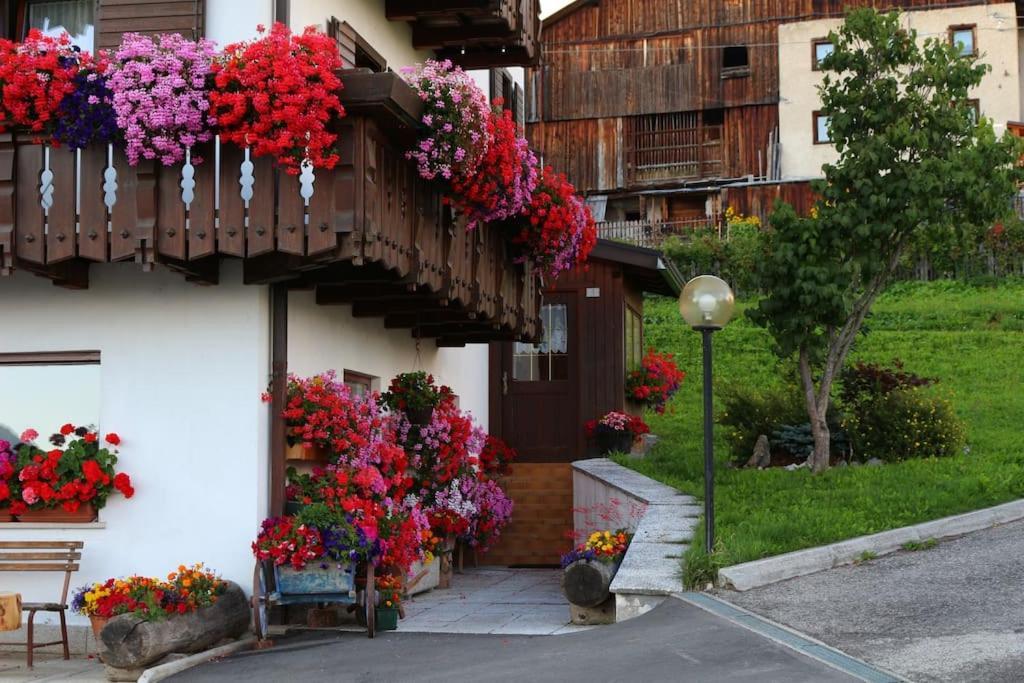 Piccola Suite Sul Civetta Colle Santa Lucia Bagian luar foto